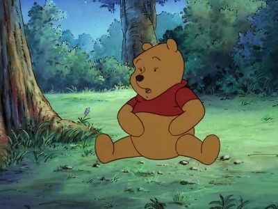Oh bother - The New Adventures of Winnie the Pooh