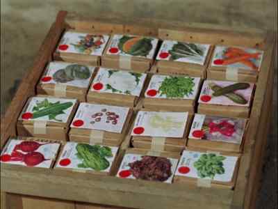 OH, BOY.
PACKAGES OF SEEDS. - Gilligan's Island