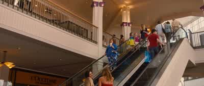 Oh! Boy, that's nice. That looks good, that looks good. I lost my wedding ring. Shh! Fifteen years o - Identity Thief