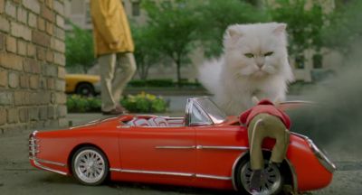 Oh boy This is a sign Stuart Like the burning bush - Stuart Little 2