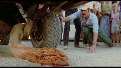 - Oh, Burt, be careful. - Tremors