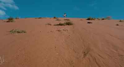 Oh, come back! - Walkabout