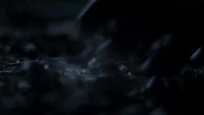 Oh, come on, Corrigan, think. - Jurassic Hunt