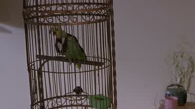 Oh, Dad, Buddy's here. - Scary Movie 2