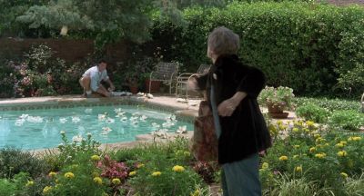 Oh damn it Ouiser - Steel Magnolias