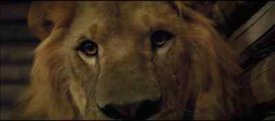 Oh Danny - come on my face let's get up - Roar