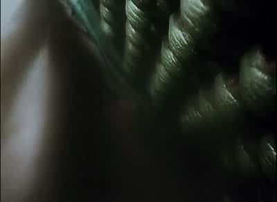 Oh, dear God! - The Blair Witch Project