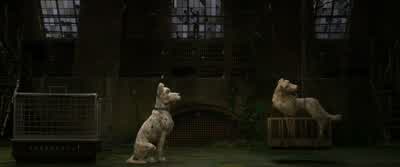 Oh, dear. - Isle of Dogs