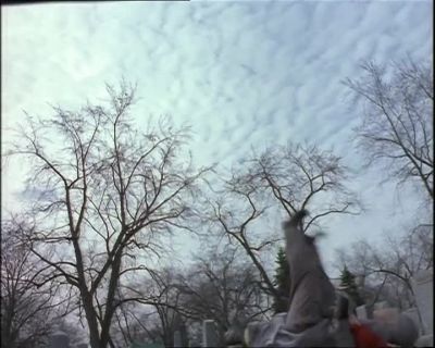Oh dear - Due South