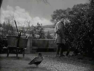 Oh Dickon - The Secret Garden