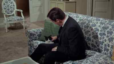 Oh, do you like cats, Mr. Solo? - One of Our Spies Is Missing