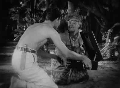 Oh, it doesn't hurt you. Here! - Bird of Paradise