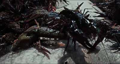 Oh, first bite. Let's hope
those other mudbugs don't catch on. - The Comedian