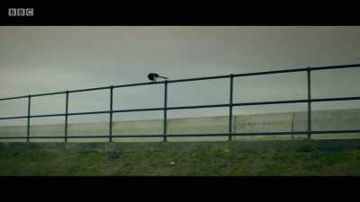 Oh, fuck off
or come back with a friend! - Back to Life