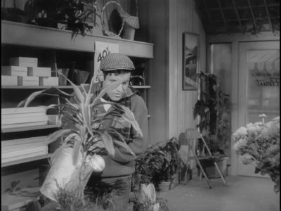 Oh gee - The Little Shop of Horrors