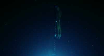 Oh, my God! [CROWD CHEER] - Freediver