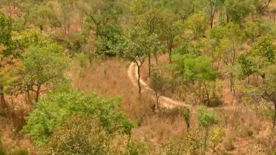    Oh, my god, is this a road? - Naked and Afraid