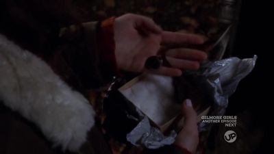 Oh, my God. It's beautiful. - Gilmore Girls