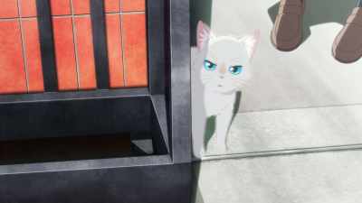 Oh, my God, it's so cute!
Where did you come from? - A Whisker Away