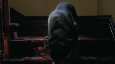 Oh, my God, Niko. Hi. - Charmed