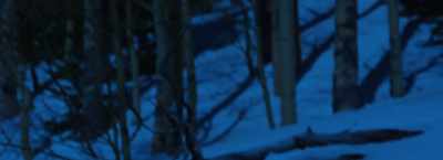 Oh, my God! Oh, my God, it's cold! - 6 Below: Miracle on the Mountain