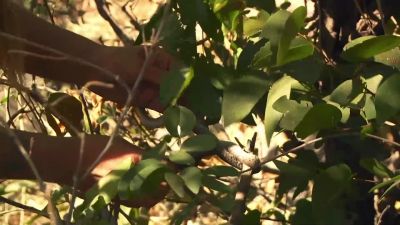            Oh, my god! - Naked and Afraid