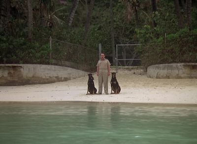 Oh my God - Magnum, P.I.