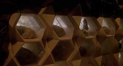 Oh, my God! - Battlestar Galactica