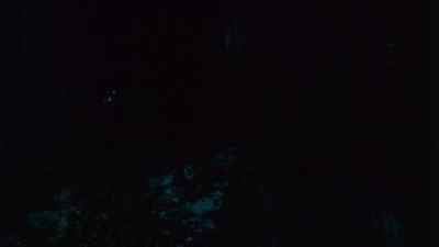 Oh my god! - Silent Night, Bloody Night