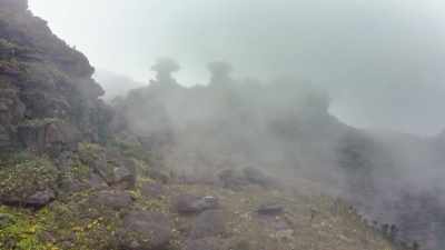 Oh, my God. - Explorer: The Last Tepui