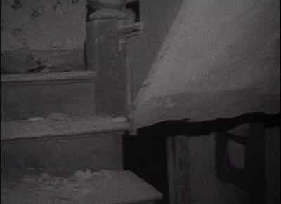 Oh, God. - The Blair Witch Project
