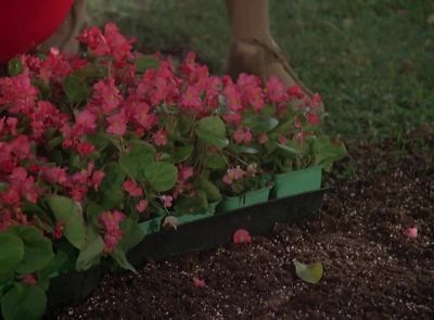 Oh my God - Magnum, P.I.
