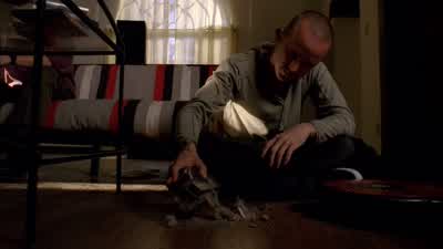 Oh, God. - Breaking Bad