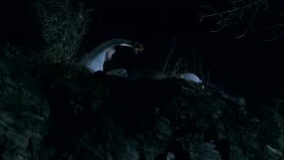 Oh, my god! - Prison Break