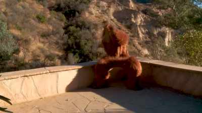 Oh my God, this
is really happening. - Bigfoot or Bust