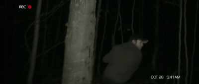 - Oh, my God!
- Turn off the light. Turn off the light! - The Gracefield Incident