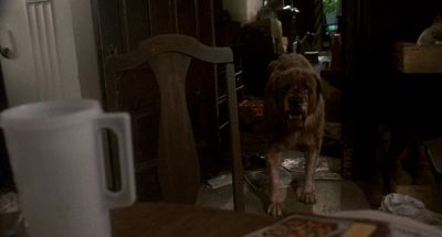 Oh my God you're rabid - Cujo