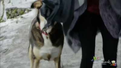 Oh, my gosh, I did not know
he could run like that. - Love at First Bark