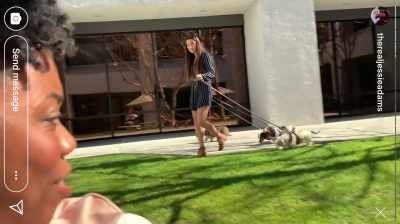Oh, my gosh, it's
a puppy parade. - Spree