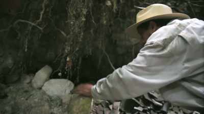 Oh, my gosh,
it's the whole building - Lost Treasures of the Maya