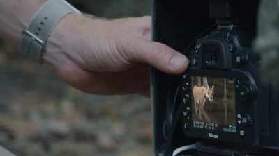 - Oh, my gosh.
- JEN: Look at that. Oh, my gosh. - Path of the Panther