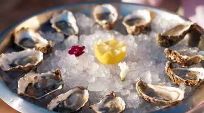 Oh my gosh, look at them!
Do you like oysters? - Dated and Related