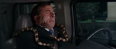 Oh, gosh. - Evan Almighty