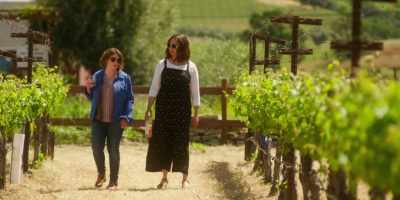 - Oh, you got too much off?
- Yes. It's like a... - Wine Country
