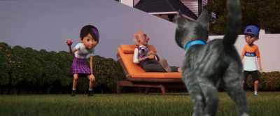 Oh! Gracie, Pedro, over here. - Gracie & Pedro: Pets to the Rescue