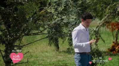 Oh, you have got
to be kidding me. - Love Under the Olive Tree