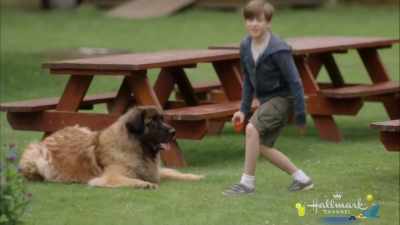 Oh, once he gets comfortable, he's a fun kid. - At Home in Mitford
