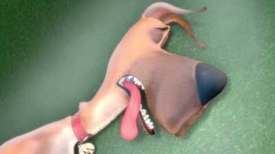 Oh… - Marmaduke