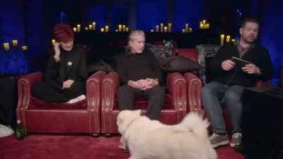 Oh, hello dog.
Um, which one is that? - The Osbournes Want to Believe