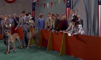 OH !
HERE THEY COME. - The Ugly Dachshund